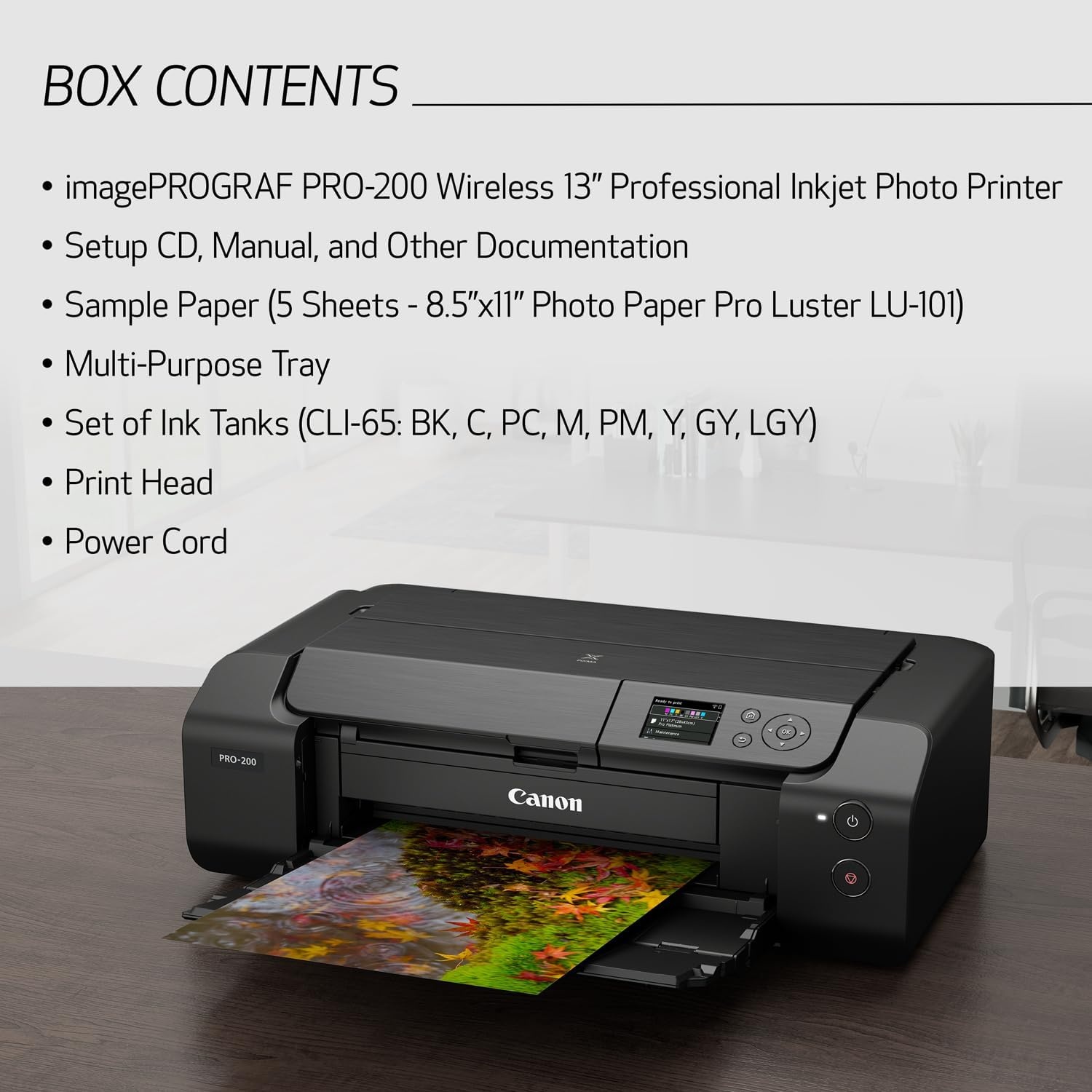 image:imageCanon PIXMA PRO200 Wireless Professional Color Photo Printer Prints up to 13X 19 30 Color LCD Screen amp Layout Software and Mobile Device Printing BlackOld ModelPRO200