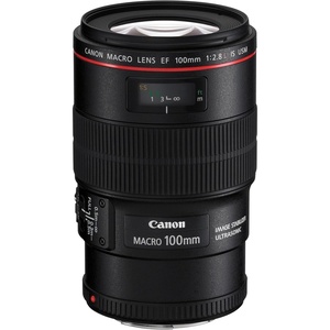 image:imageCanon EF 100mm f28L Is USM Macro Lens for Canon Digital SLR Cameras Lens Only BlackLens Only